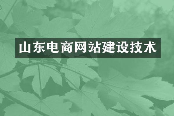 山东电商网站建设技术