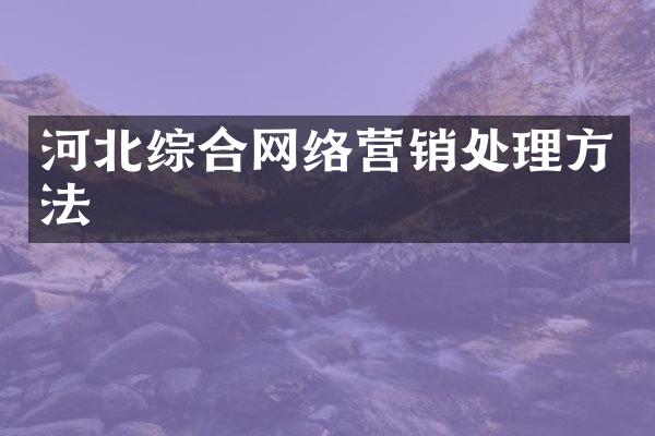 河北综合网络营销处理方法