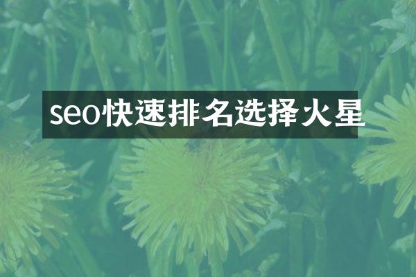seo快速排名选择火星