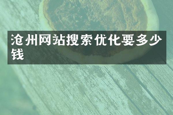 沧州网站搜索优化要多少钱