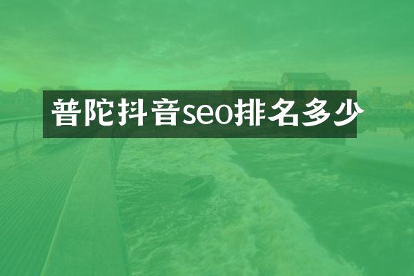 普陀抖音seo排名多少