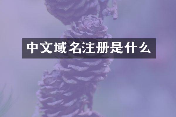 中文域名注册是什么