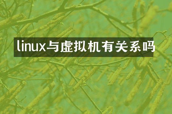 linux与虚拟机有关系吗