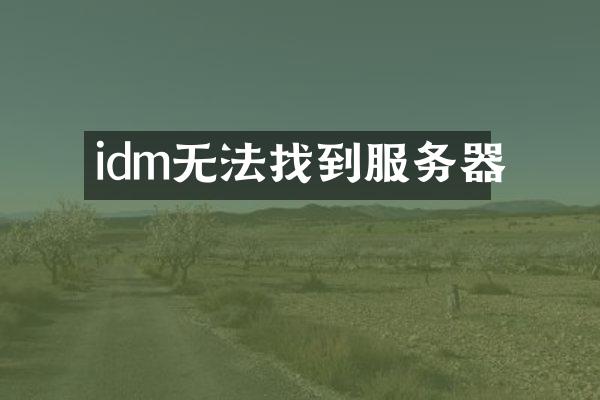 idm无法找到服务器