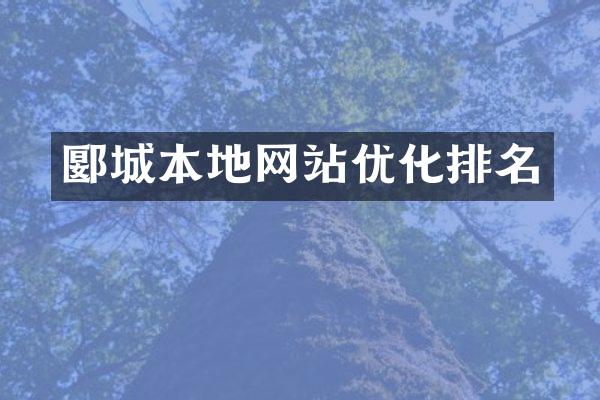 郾城本地网站优化排名