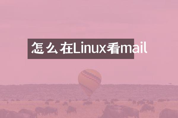 怎么在Linux看mail