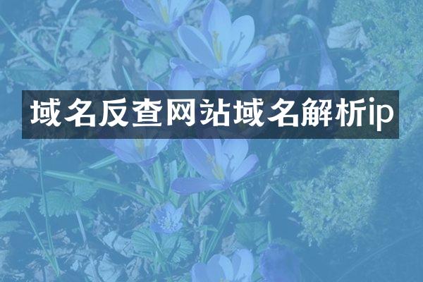 域名反查网站域名解析ip
