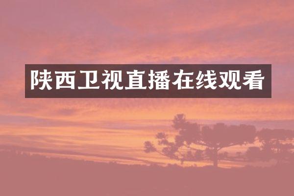 陕西卫视直播在线观看