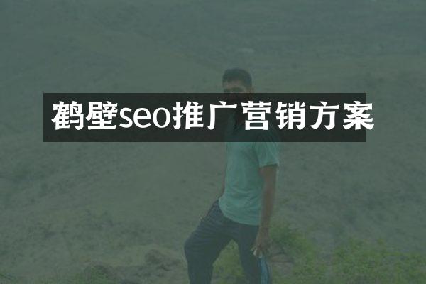 鹤壁seo推广营销方案
