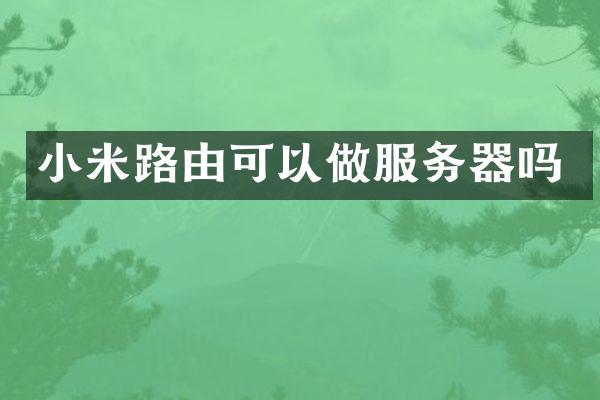 小米路由可以做服务器吗