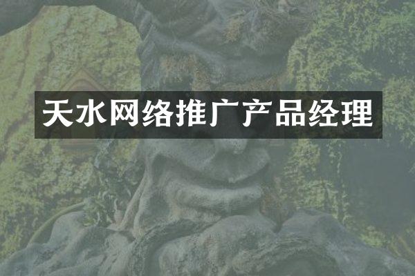 天水网络推广产品经理