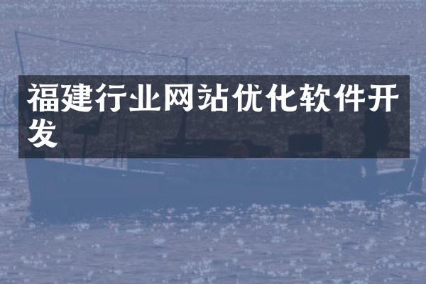 福建行业网站优化软件开发