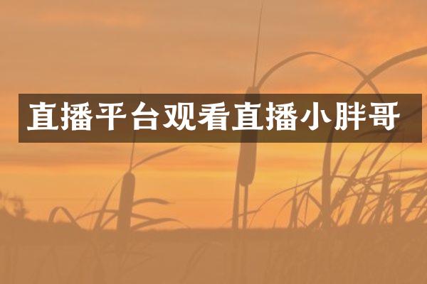 直播平台观看直播小胖哥