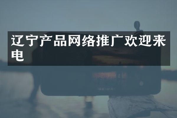 辽宁产品网络推广欢迎来电