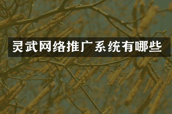 灵武网络推广系统有哪些