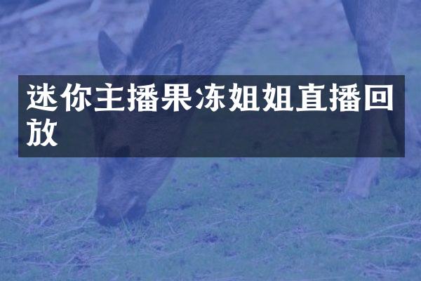 迷你主播果冻姐姐直播回放