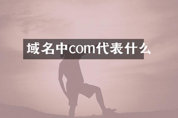 域名中com代表什么