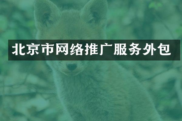 北京市网络推广服务外包