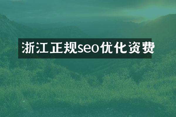 浙江正规seo优化资费