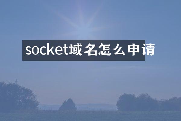socket域名怎么申请