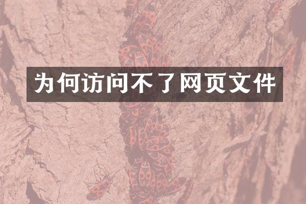 为何访问不了网页文件