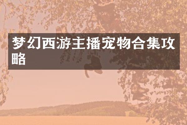 梦幻西游主播宠物合集攻略