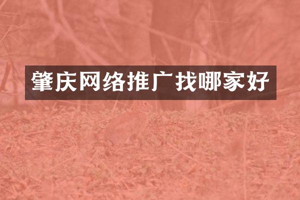 肇庆网络推广找哪家好