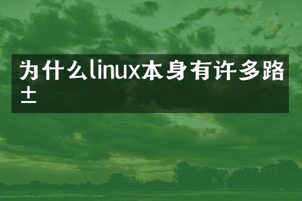 为什么linux本身有许多路由
