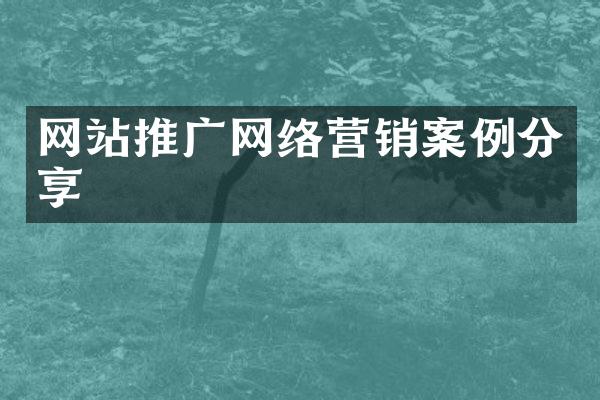 网站推广网络营销案例分享