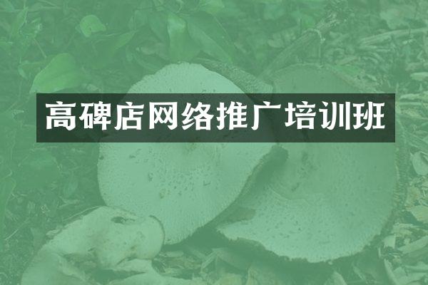 高碑店网络推广培训班