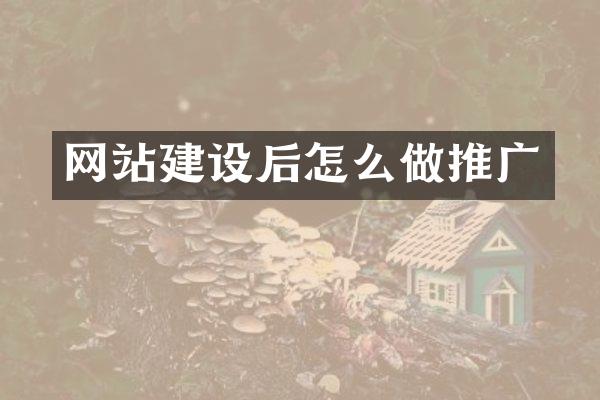 网站建设后怎么做推广