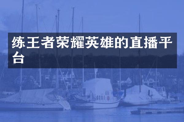 练王者荣耀英雄的直播平台