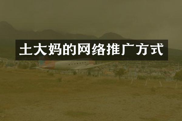 土大妈的网络推广方式