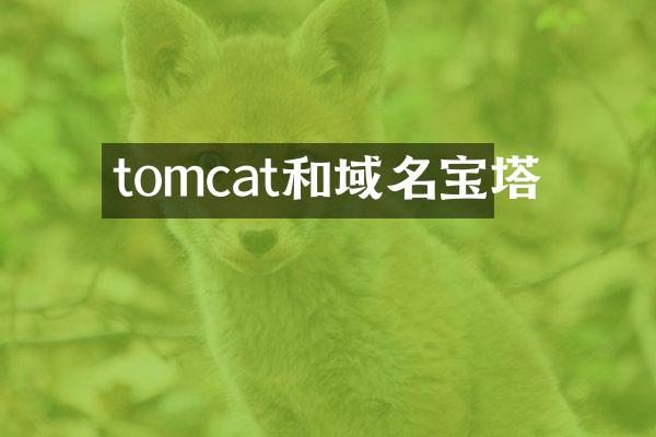 tomcat和域名宝塔