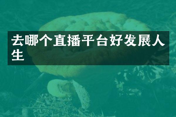 去哪个直播平台好发展人生