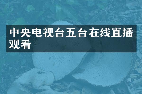 中央电视台五台在线直播观看