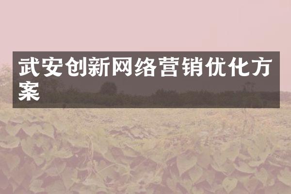 武安创新网络营销优化方案