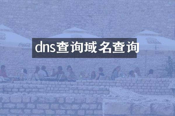 dns查询域名查询