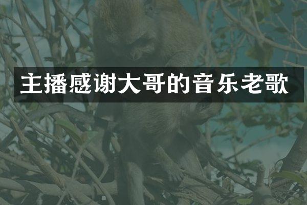 主播感谢大哥的音乐老歌