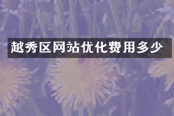 越秀区网站优化费用多少