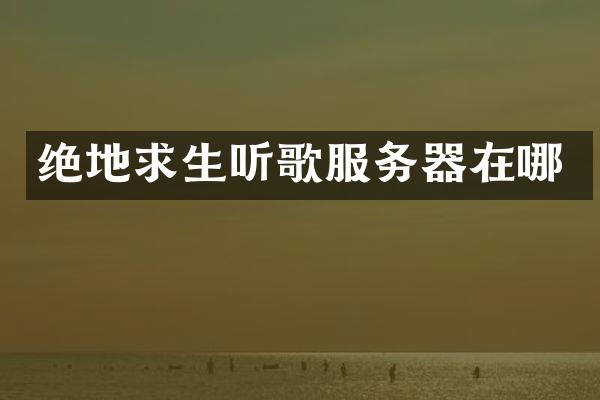 绝地求生听歌服务器在哪