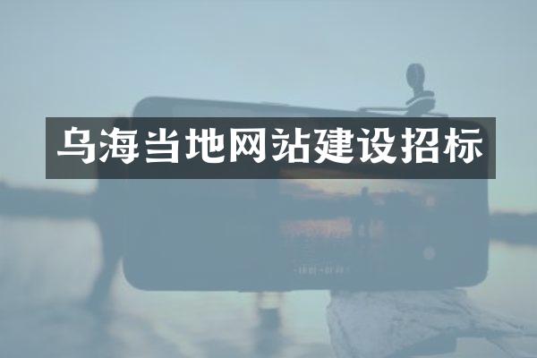 乌海当地网站建设招标