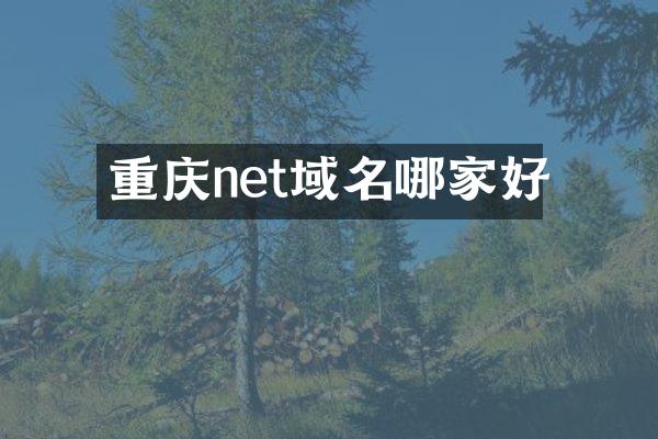 重庆net域名哪家好
