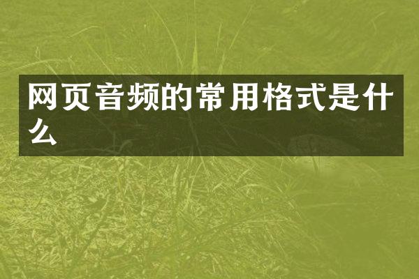 网页音频的常用格式是什么