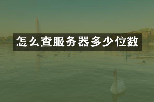 怎么查服务器多少位数