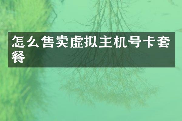 怎么售卖虚拟主机号卡套餐