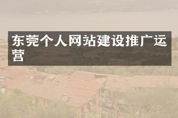 东莞个人网站建设推广运营