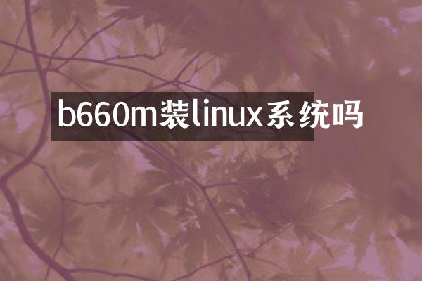 b660m装linux系统吗