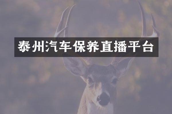 泰州汽车保养直播平台
