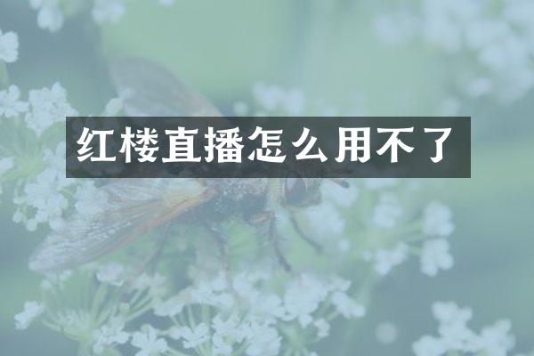 红楼直播怎么用不了